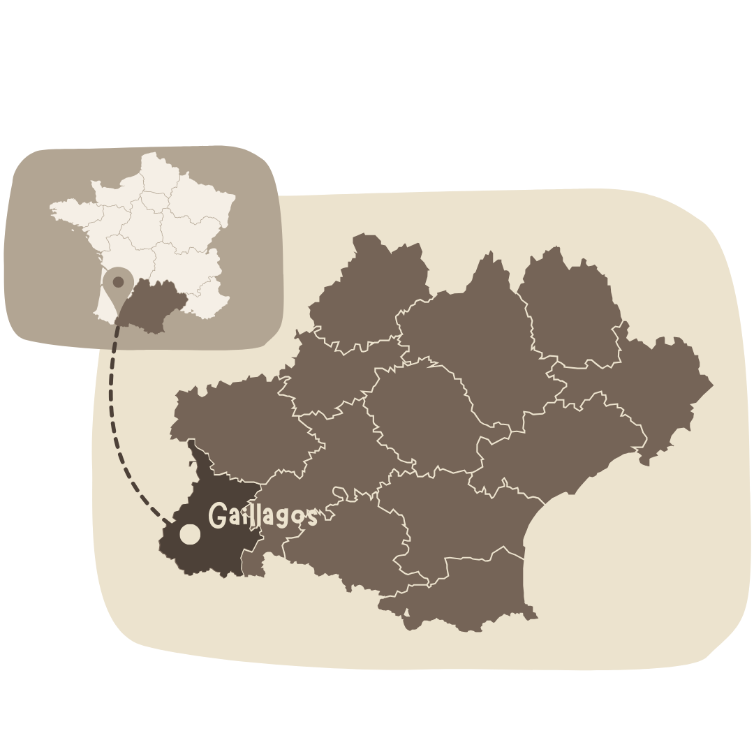 Localisation du gite en val d'azun